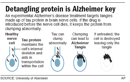 Versatile proteins could be new target for Alzheimer's drugs