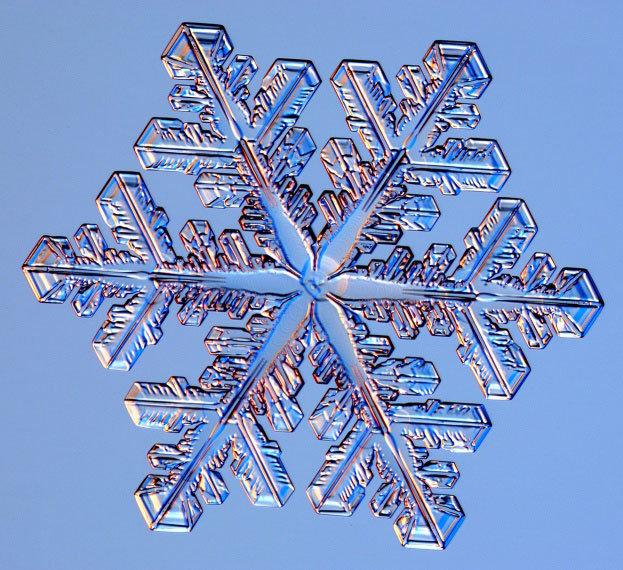 Snowflakes are shape-shifters, changing with temperature, moisture
