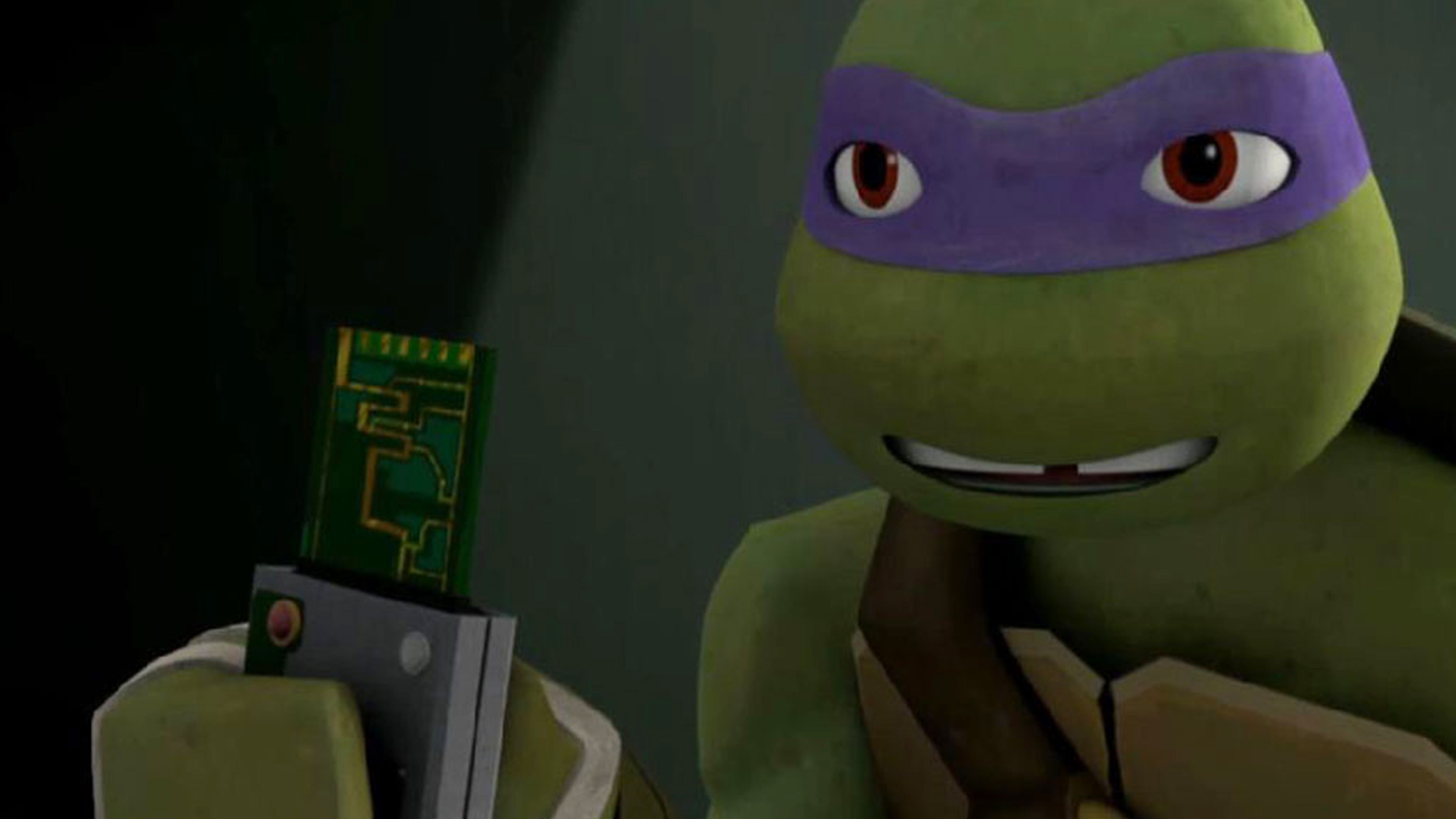 Teenage Mutant Ninja Turtles' movie spawns pet turtle warning