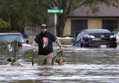 Image: A man walks through flood waters in Austin, Texas on Quicksilver Boulevard with two dogs after heavy rains brought flooding to the area in southeast Austin, Texas