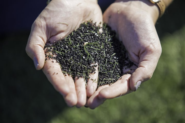 Image: A soccer player holds a pile of crumb rubber infill, collected from an artificial turf field.