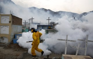 Image: A health worker carries out fumigation as part of preventive measures against the Zika virus and other mosquito-borne diseases at the cemetery of Carabayllo on the outskirts of Lima