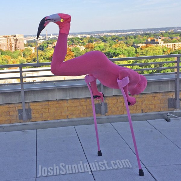 Josh Sundquist.com: A person with one leg balances upsidedown on two pink crutches such that their foot is the head of a flamingo. Their body is in a tight pink body suit.