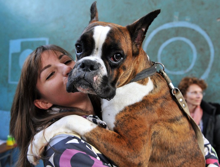 A woman kisses her Boxer  during a dog exhibition in Kyrgyzstan's capital Bishkek on January 25, 2015. AFP PHOTO / VYACHESLAV OSELEDKOVYACHESLAV OSELE...