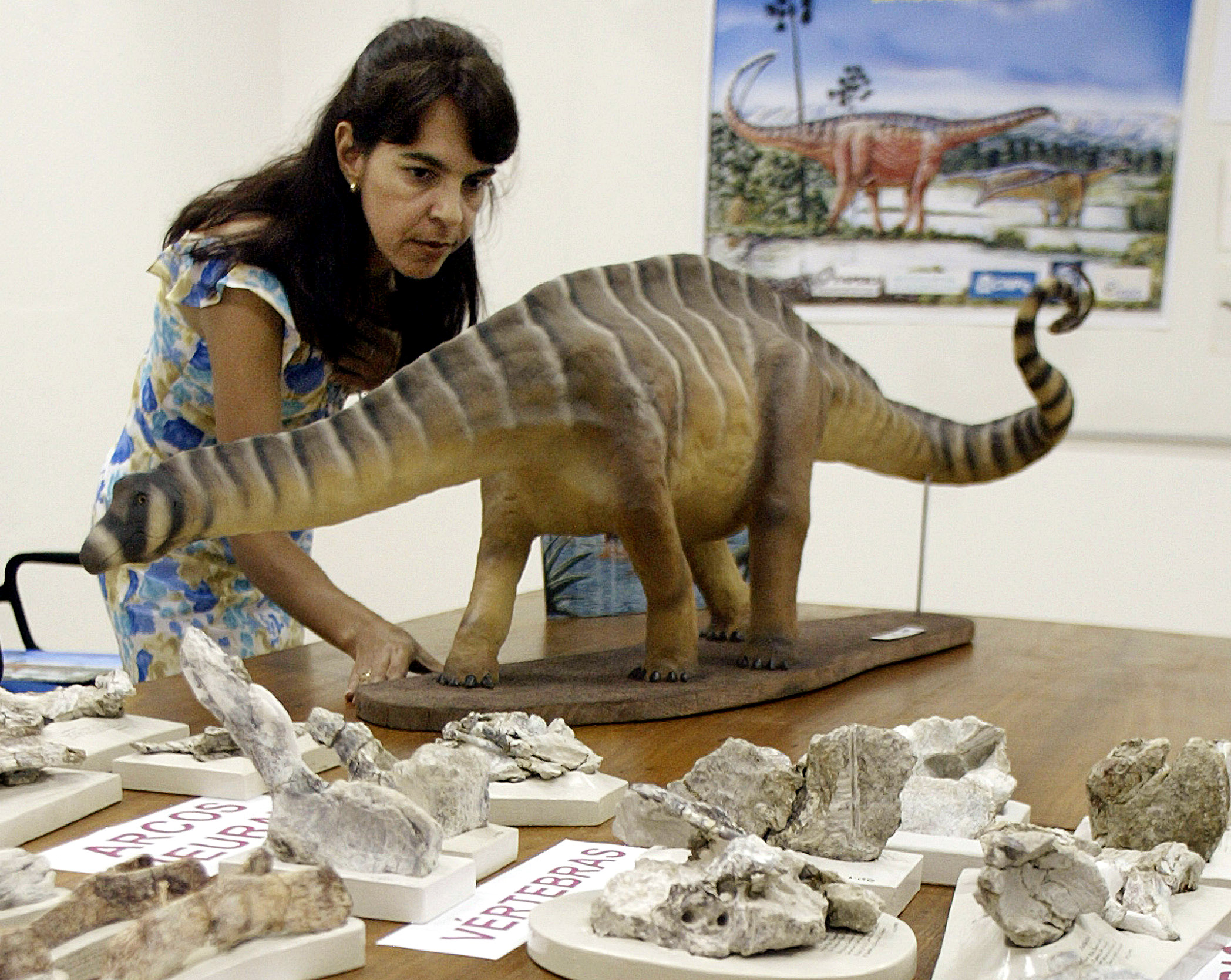 Dinosaur fossils found in the Amazon
