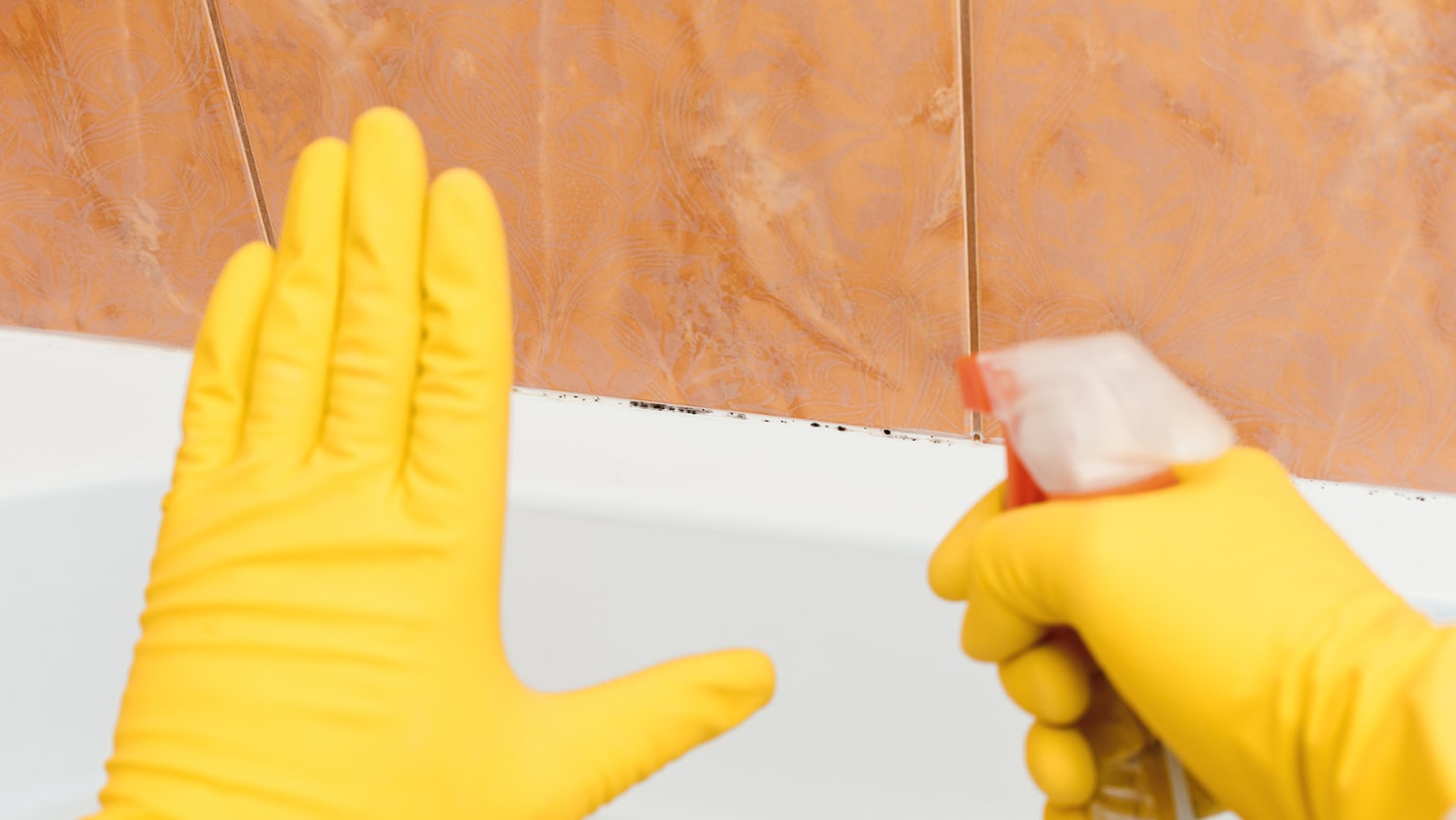 How to remove mold and mildew from