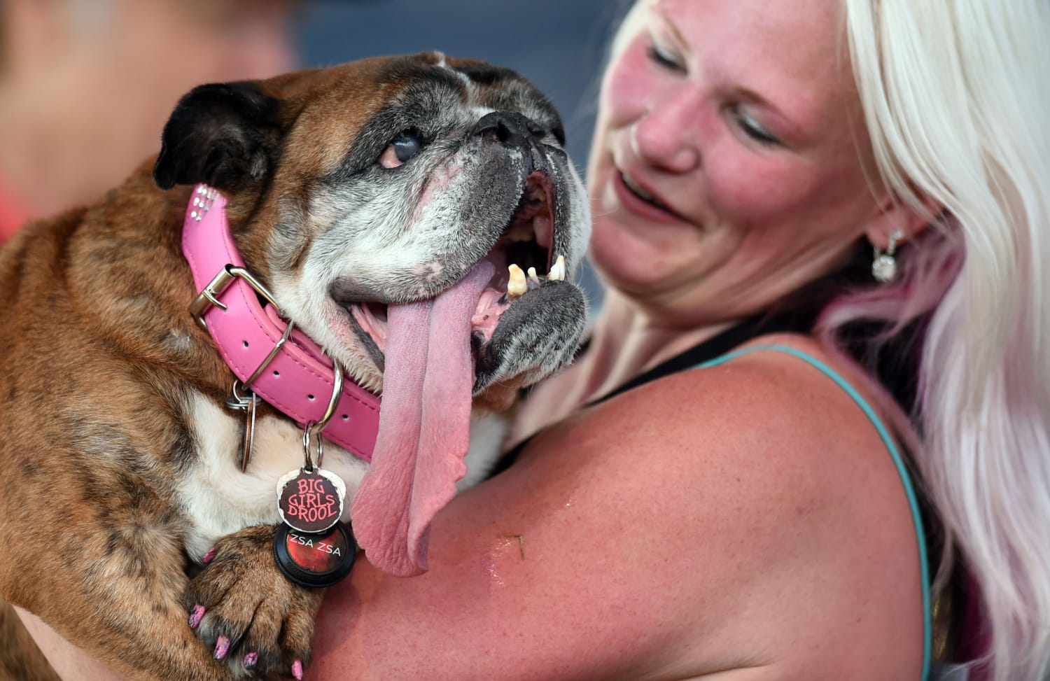 English bulldog Zsa Zsa wins World's Ugliest Dog title