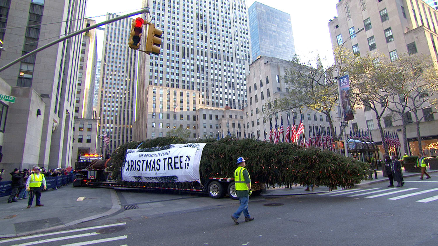Flipboard: Meet the new 2019 Rockefeller Center Christmas tree