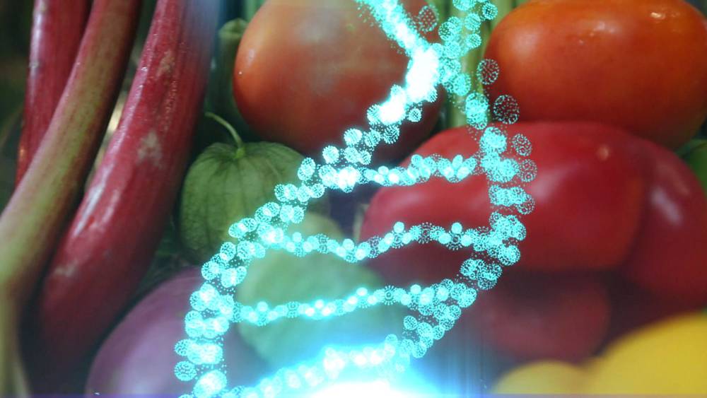 Image result for Understanding Your Genes Can Help Customize Your Nutrition and Life