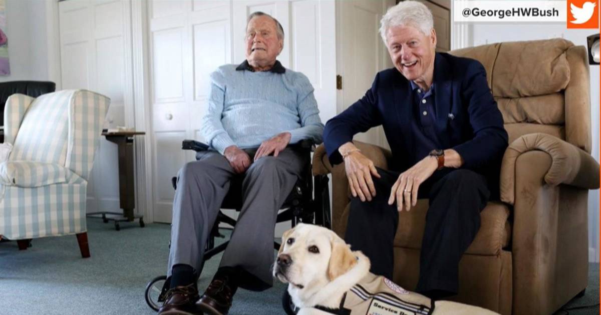 Former President George H.W. Bush gets his own service dog named Sully