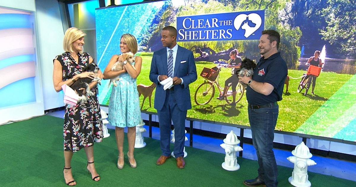 Annual Clear the Shelters event aims to boost pet adoptions