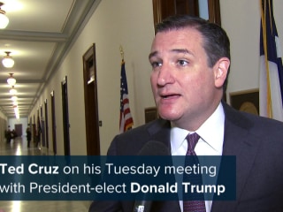 Cruz on Trump Meeting: 'I'm Eager to Help Any Way I Can'