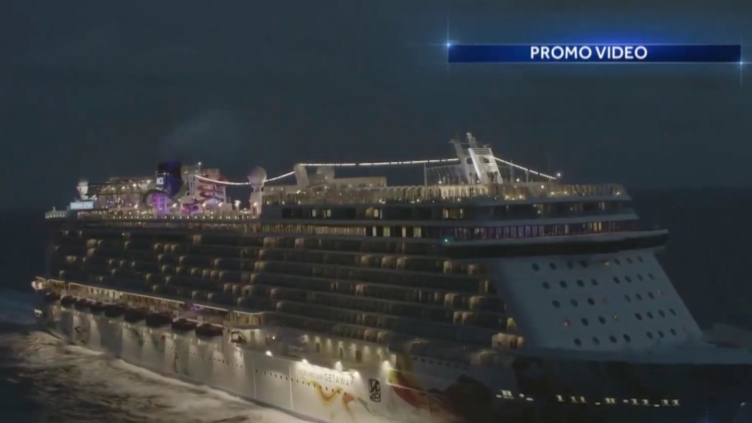 cruise ship passenger survives