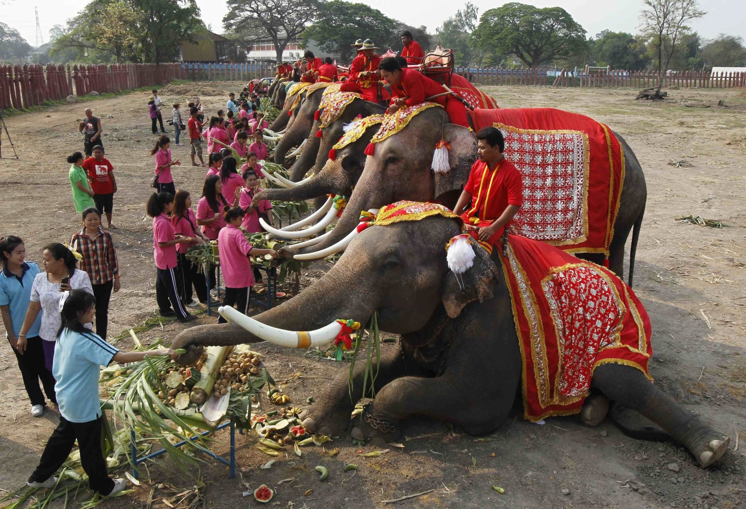 National Elephant Day in Thailand - a tribute to the 