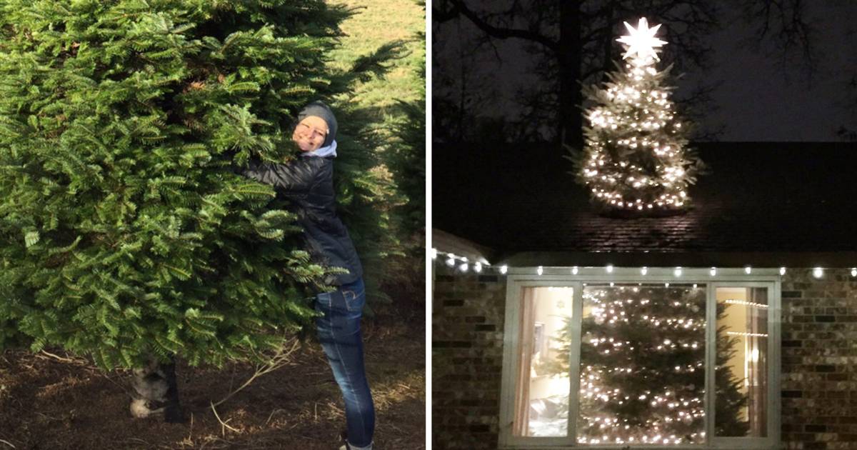This crazy Christmas tree trend is through the roof