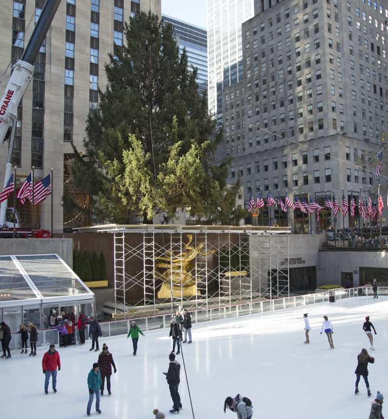 Rockefeller Center Christmas tree arrives on the plaza
