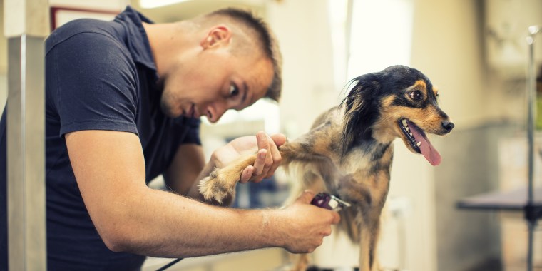 petsmart grooming services