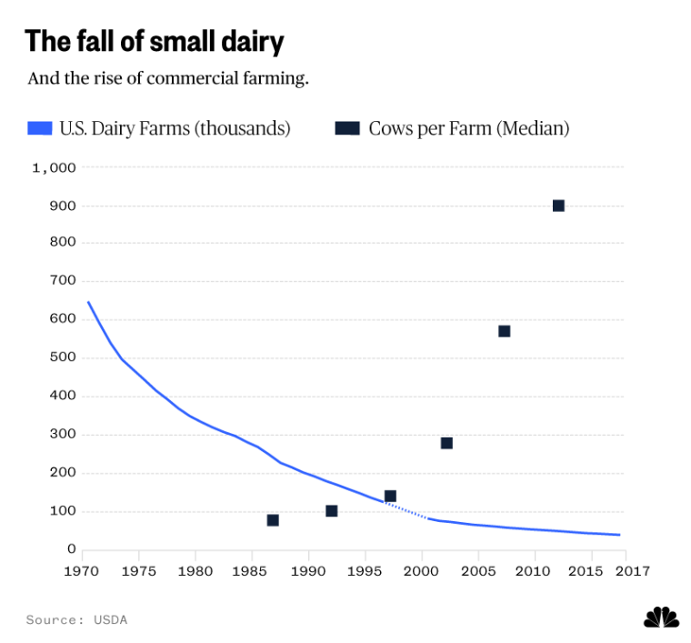   The fall of small dairy farms 