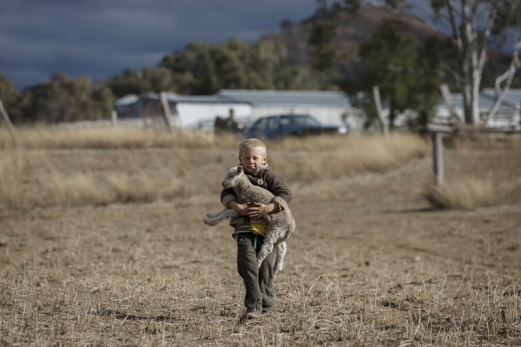 Image: New South Wales Farmers Battle Crippling Drought