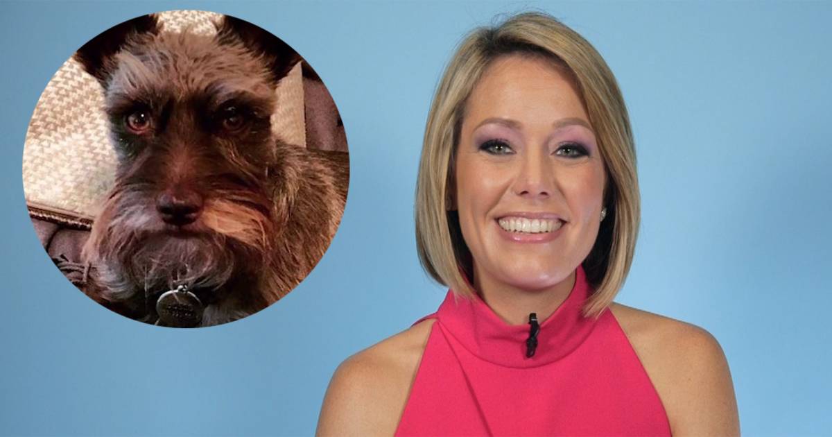 Why Dylan Dreyer's dog is the best big sister to baby Calvin