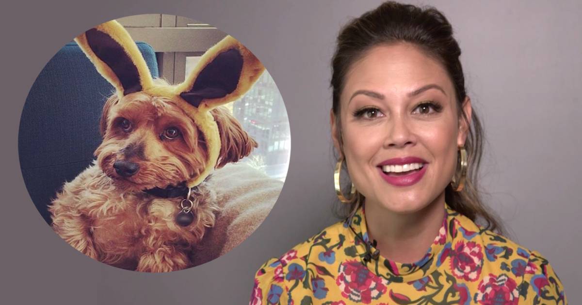 Why Vanessa Lachey says her 11-year-old dog is her family's 'first born'