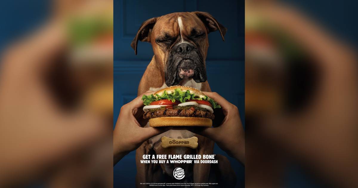 Burger King launches first ever whopper for dogs