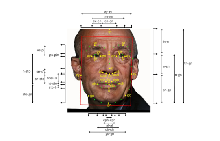 Image: Facial recognition measurements