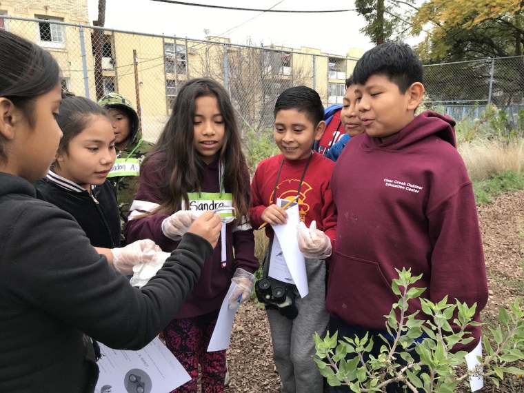 How Garden Based Learning Helps Students Of Color