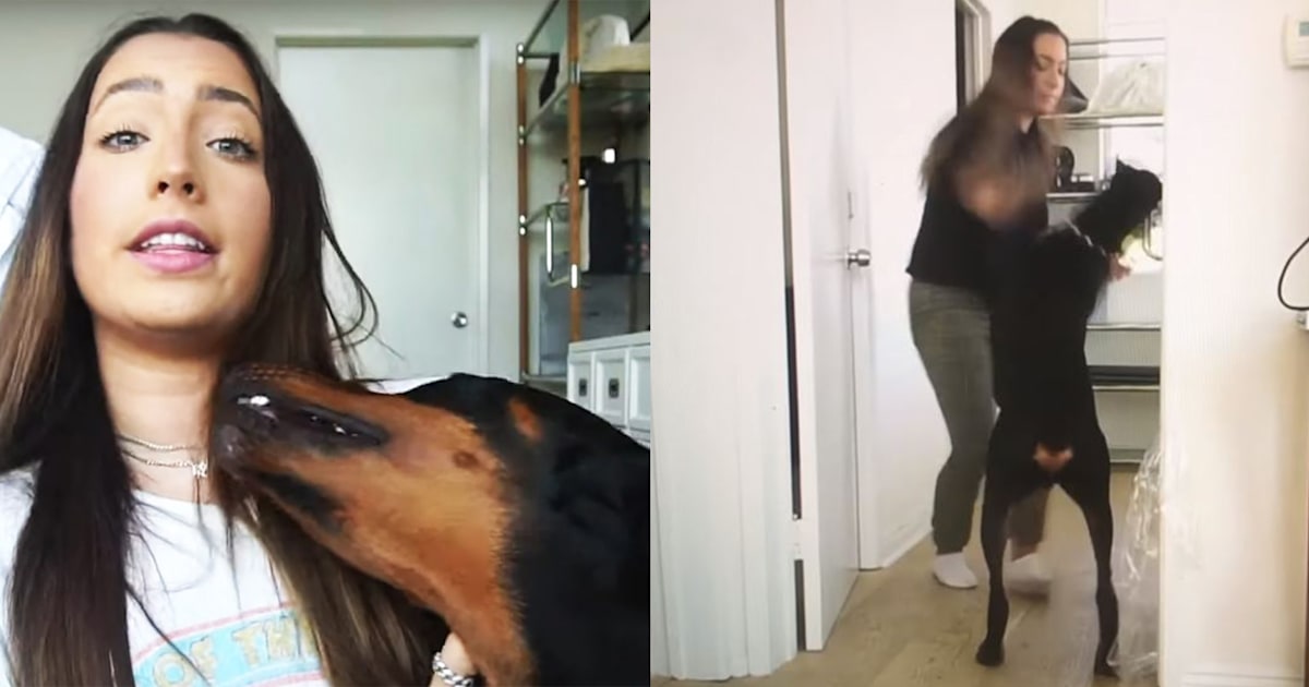 YouTuber Brooke Houts under fire after video shows her smacking, shoving dog