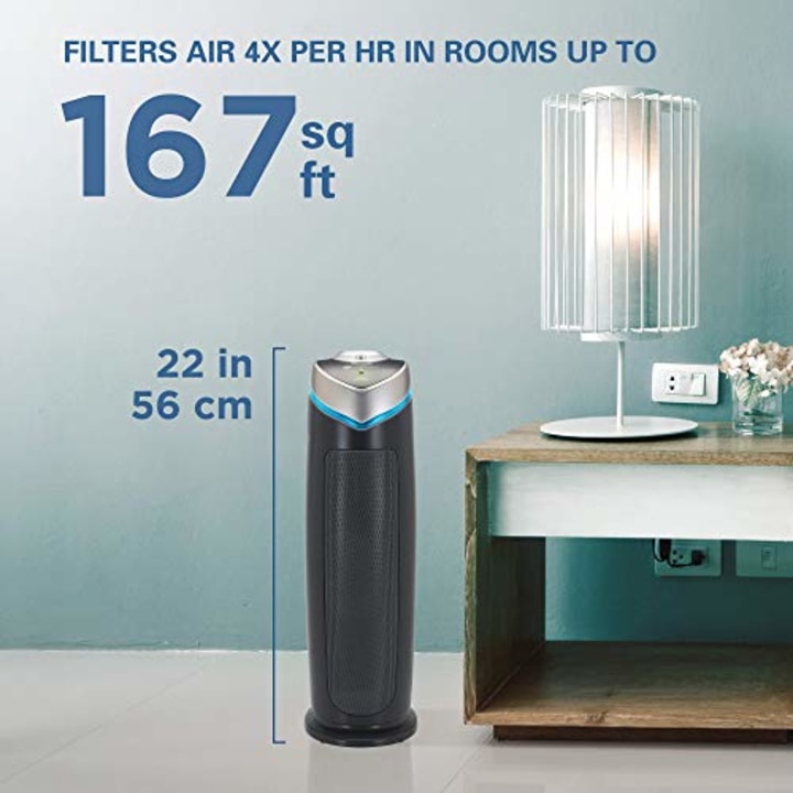 The Best Air Purifiers According To Doctors And Experts