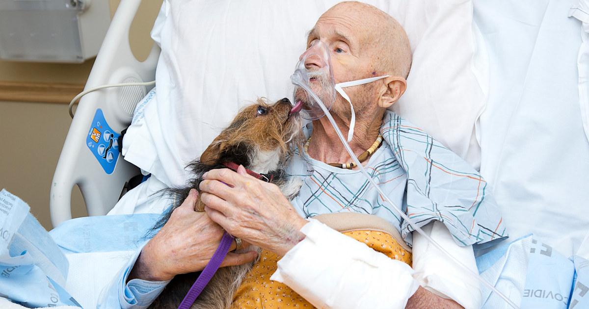 Vietnam veteran in hospice care sees beloved dog ‘one last time’