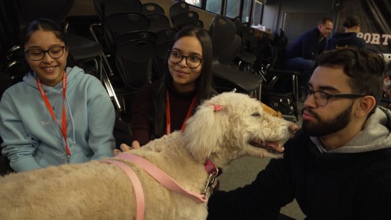 Barbie, chien thérapeutique, rend visite aux élèves du lycée de Freeport Adam Kaufman