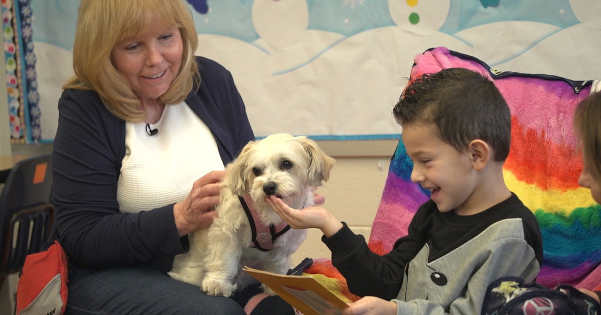 These therapy dogs ease anxiety, bring joy to kids and seniors in need