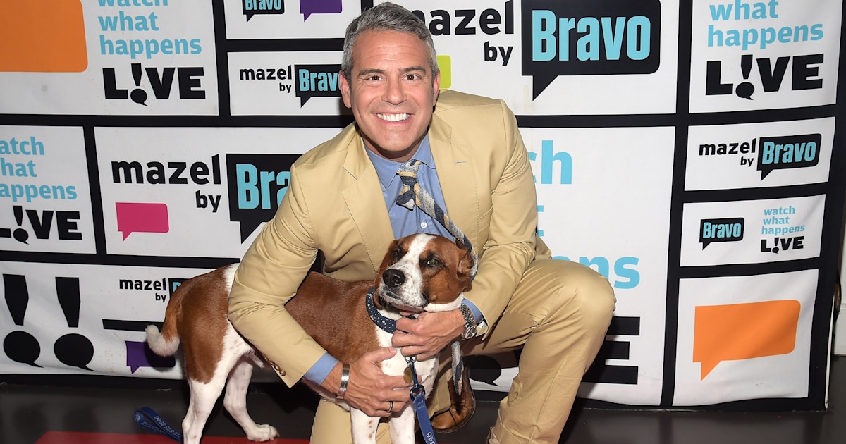 Andy Cohen announces that he has re-homed adopted dog Wacha
