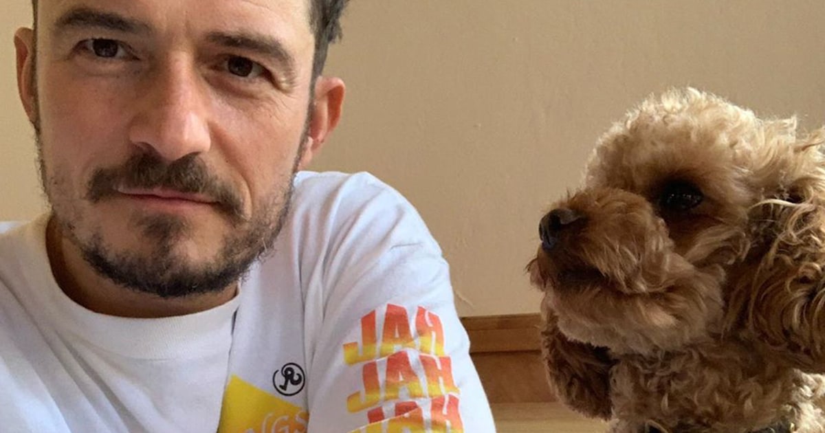 Orlando Bloom mourns unexpected death of his dog, gets tattoo in his honor