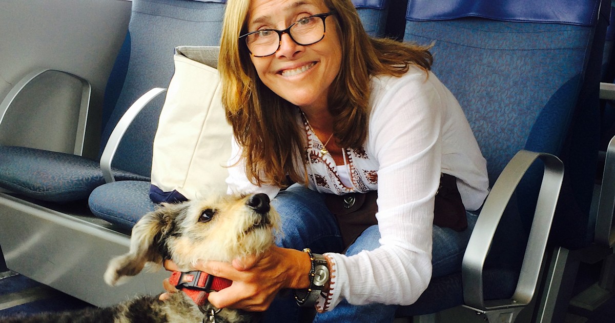 Meredith Vieira's 16-year-old dog, Jasper, survives coyote attack