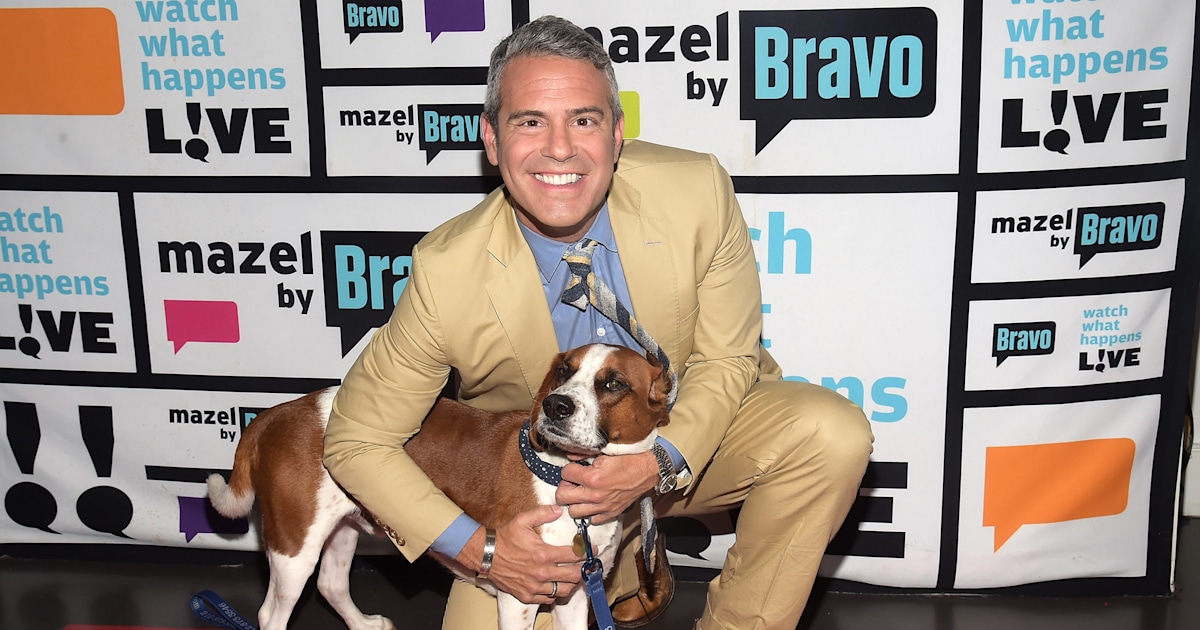 Andy Cohen happily reunites with the rescue dog he re-homed after 7 years