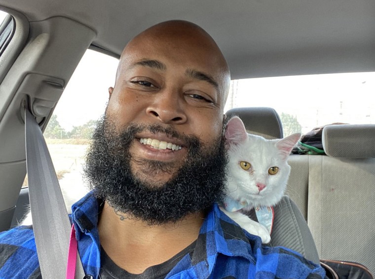 A few months ago, Davis was setting a trap for a cat that surprised him by jumping into his arms. He adopted her and named her Alanis Mewissette.