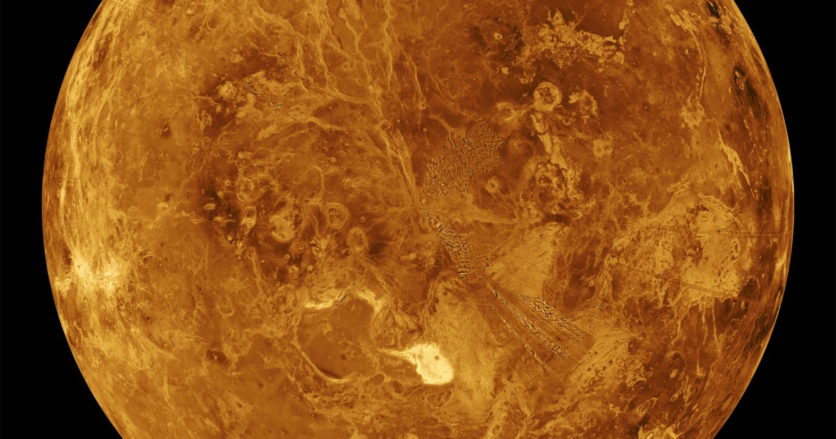 ‘Signs of life’ on Venus can only be ordinary sulfur gas