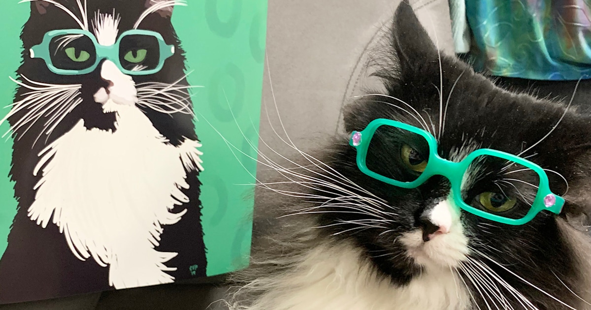 Truffles the Kitty wears glasses to help kids feel confident in them, too