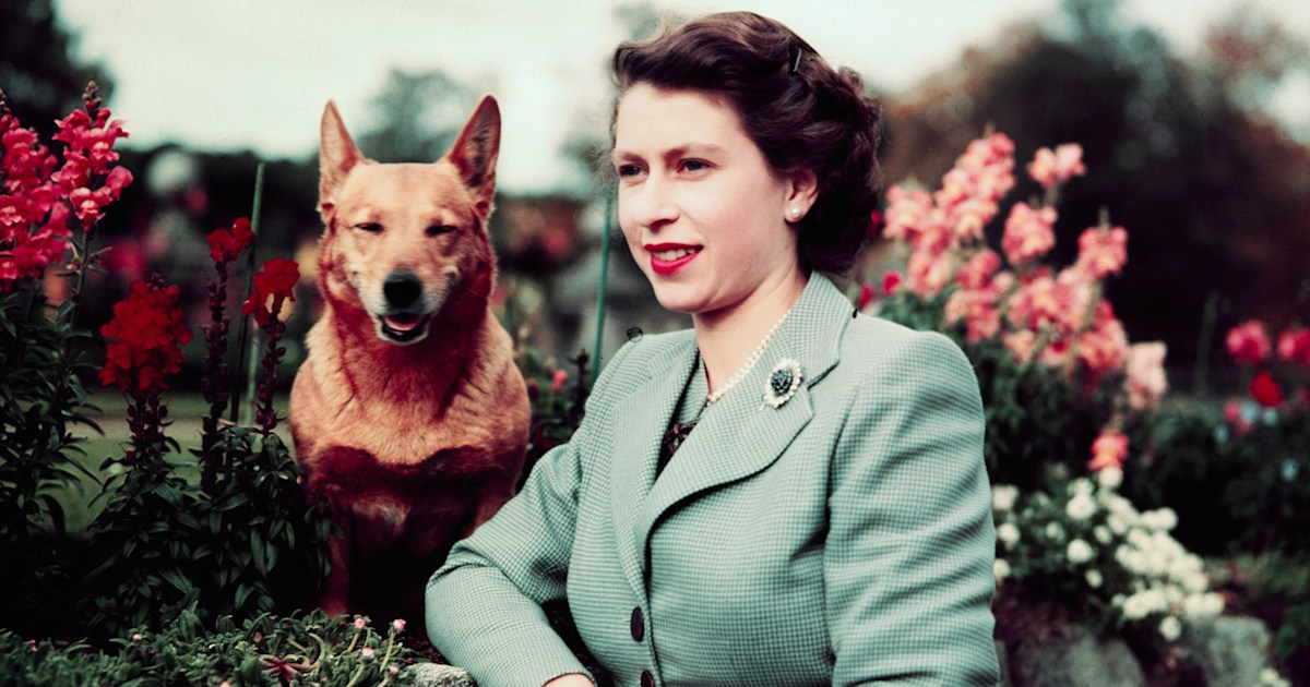 Queen Elizabeth adds 2 furry family members — corgi puppies!