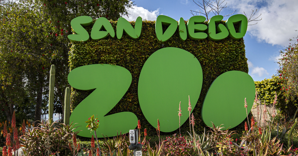 Father accused of bringing and dropping a child into the elephant habitat of the San Diego Zoo