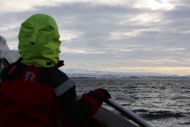 Image:: Captain Heimir Hardarson takes whale watchers out on his boat in Husavik, Iceland.